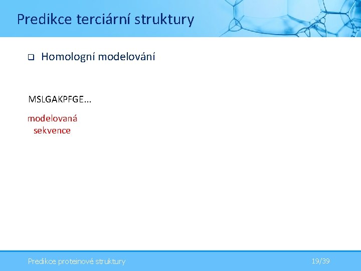 Predikce terciární struktury q Homologní modelování MSLGAKPFGE. . . modelovaná sekvence Predikce proteinové struktury