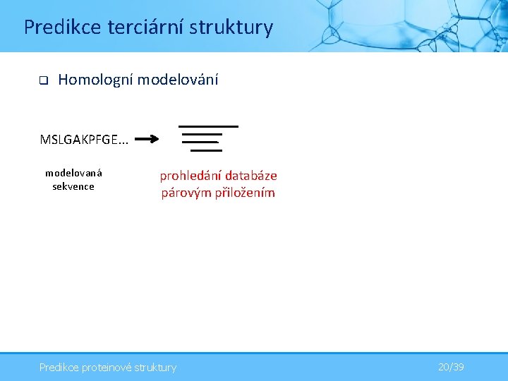 Predikce terciární struktury q Homologní modelování MSLGAKPFGE. . . modelovaná sekvence prohledání databáze párovým