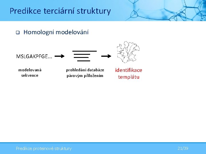 Predikce terciární struktury q Homologní modelování MSLGAKPFGE. . . modelovaná sekvence prohledání databáze párovým