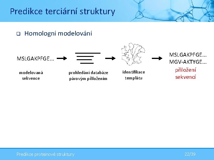 Predikce terciární struktury q Homologní modelování MSLGAKPFGE. . . modelovaná sekvence prohledání databáze párovým