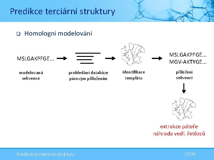 Predikce terciární struktury q Homologní modelování MSLGAKPFGE. . . MGV-AKTYGE. . . MSLGAKPFGE. .
