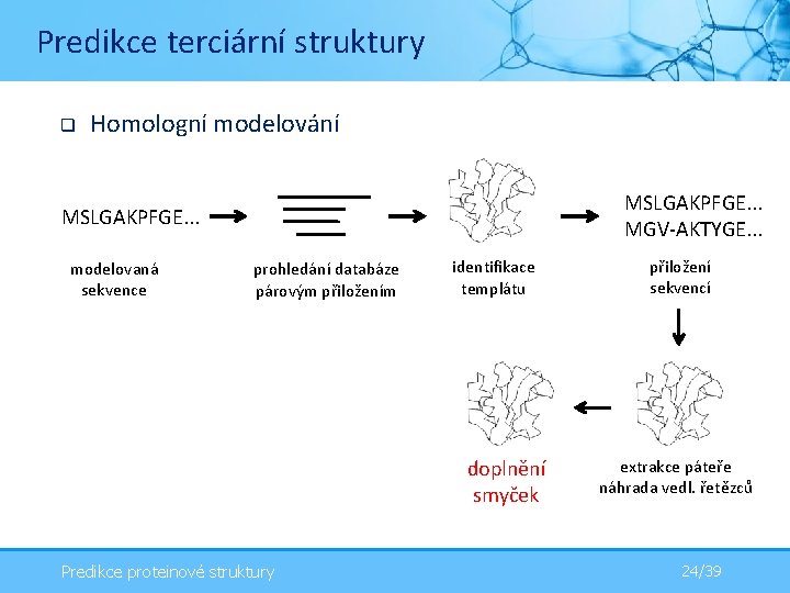 Predikce terciární struktury q Homologní modelování MSLGAKPFGE. . . MGV-AKTYGE. . . MSLGAKPFGE. .