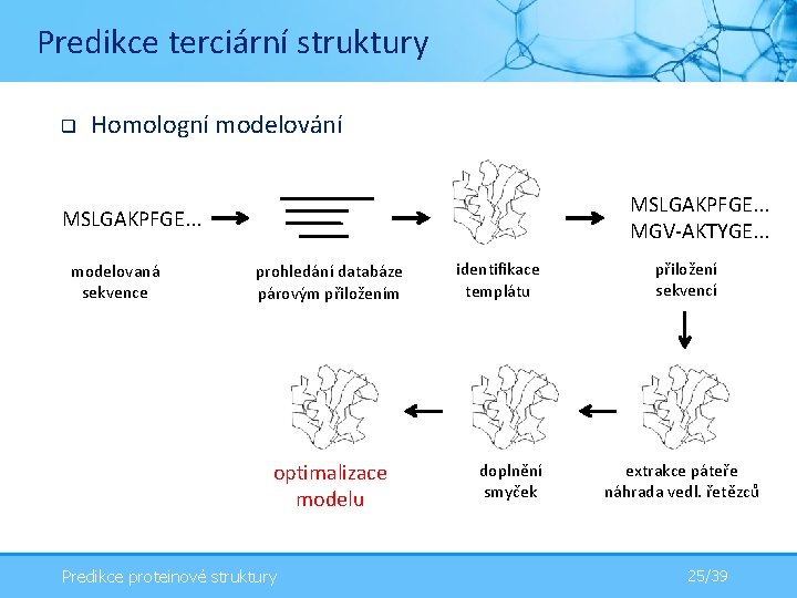 Predikce terciární struktury q Homologní modelování MSLGAKPFGE. . . MGV-AKTYGE. . . MSLGAKPFGE. .