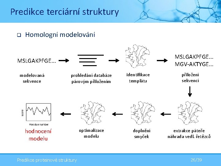 Predikce terciární struktury q Homologní modelování MSLGAKPFGE. . . MGV-AKTYGE. . . MSLGAKPFGE. .