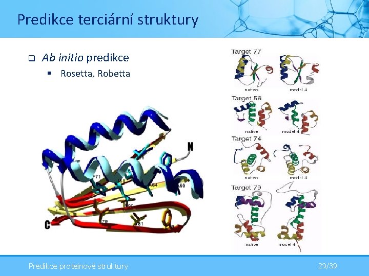 Predikce terciární struktury q Ab initio predikce § Rosetta, Robetta Predikce proteinové struktury 29/39
