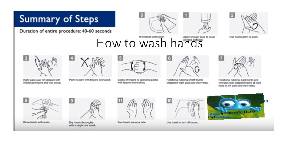 How to wash hands https: //www. youtube. com /watch? v=Iisgnb. Mf. Kv. I Author