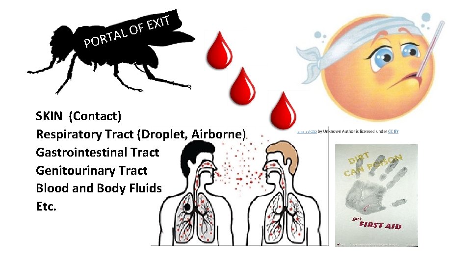 L A T R PO T I X E OF This Photo by Unknown