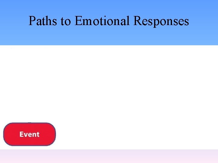 Paths to Emotional Responses 