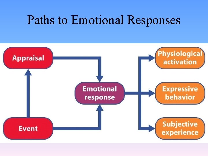 Paths to Emotional Responses 