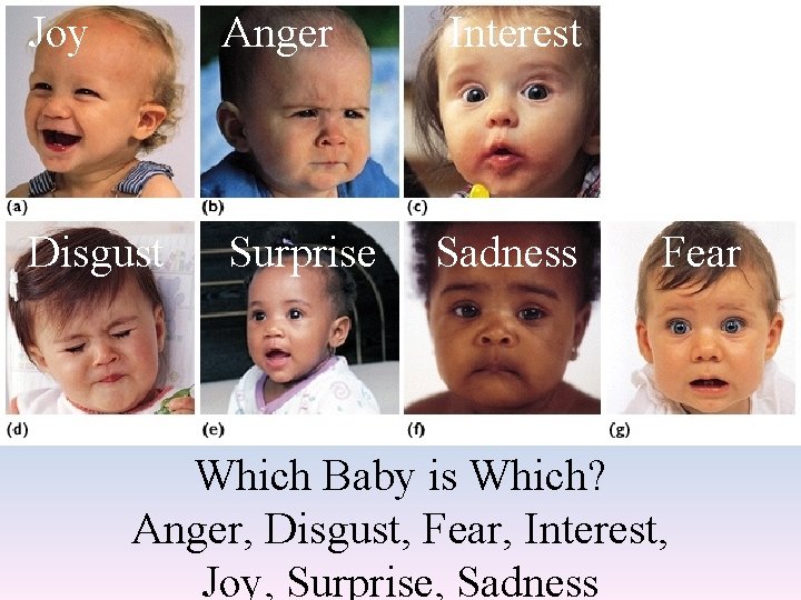 Joy Anger Interest Disgust Surprise Sadness Fear Which Baby is Which? Anger, Disgust, Fear,