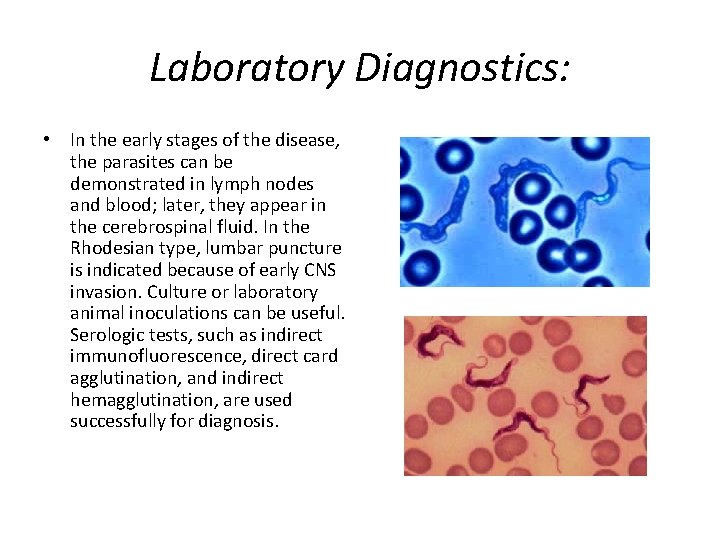 Laboratory Diagnostics: • In the early stages of the disease, the parasites can be