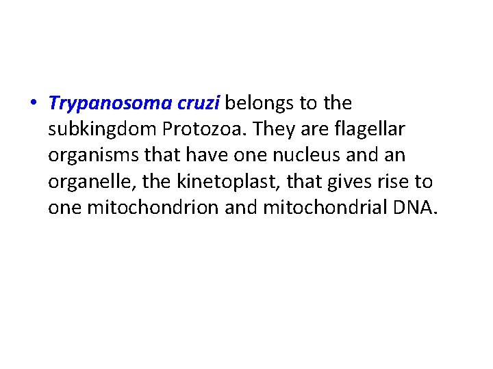  • Trypanosoma cruzi belongs to the subkingdom Protozoa. They are flagellar organisms that