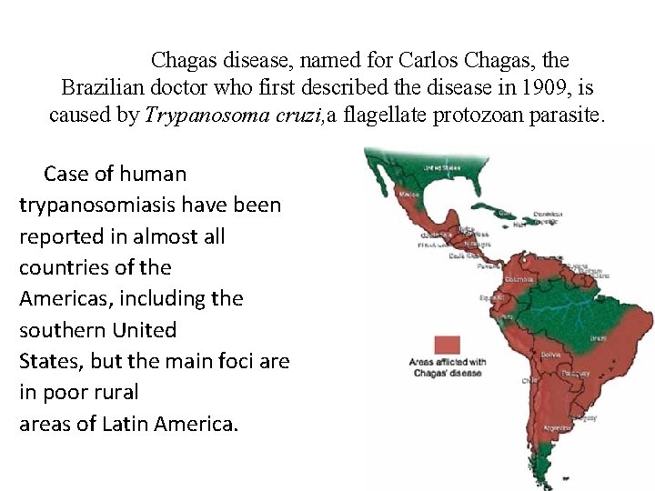 Chagas disease, named for Carlos Chagas, the Brazilian doctor who first described the disease