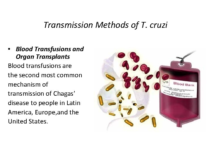 Transmission Methods of T. cruzi • Blood Transfusions and Organ Transplants Blood transfusions are