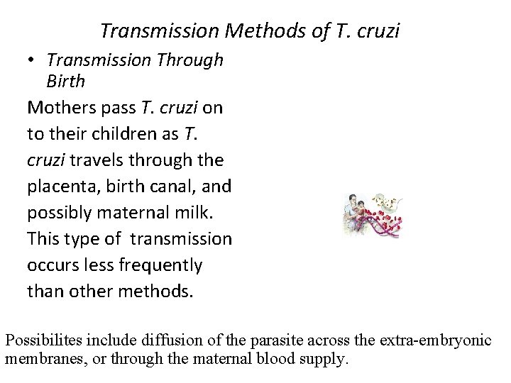 Transmission Methods of T. cruzi • Transmission Through Birth Mothers pass T. cruzi on