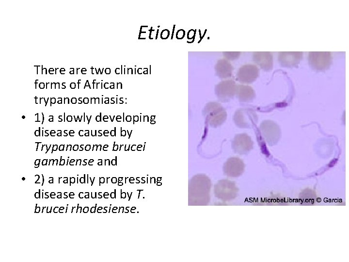 Etiology. There are two clinical forms of African trypanosomiasis: • 1) a slowly developing