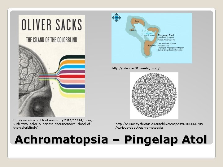 http: //islander 01. weebly. com/ http: /www. color-blindness. com/2011/11/14/livingwith-total-color-blindness-documentary-island-ofthe-colorblind// http: //curiositychronicles. tumblr. com/post/6108866789 /curious-about-achromatopsia http: //islander 01. weebly. com/ http: /www. color-blindness. com/2011/11/14/livingwith-total-color-blindness-documentary-island-ofthe-colorblind// http: //curiositychronicles. tumblr. com/post/6108866789 /curious-about-achromatopsia