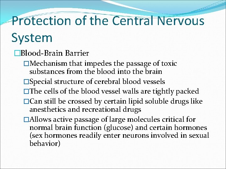 Protection of the Central Nervous System �Blood-Brain Barrier �Mechanism that impedes the passage of