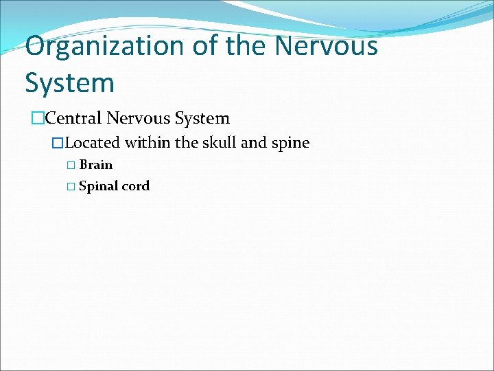 Organization of the Nervous System �Central Nervous System �Located within the skull and spine