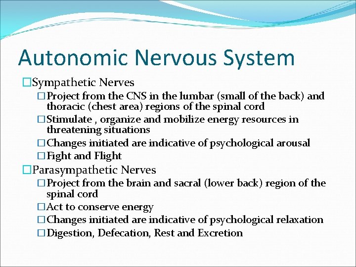 Autonomic Nervous System �Sympathetic Nerves �Project from the CNS in the lumbar (small of