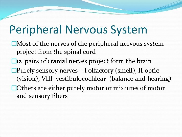 Peripheral Nervous System �Most of the nerves of the peripheral nervous system project from