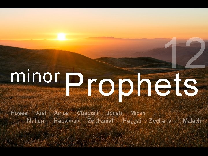 minor Hosea Joel Nahum 12 Prophets Amos Obadiah Jonah Micah Habakkuk Zephaniah Haggai Zechariah