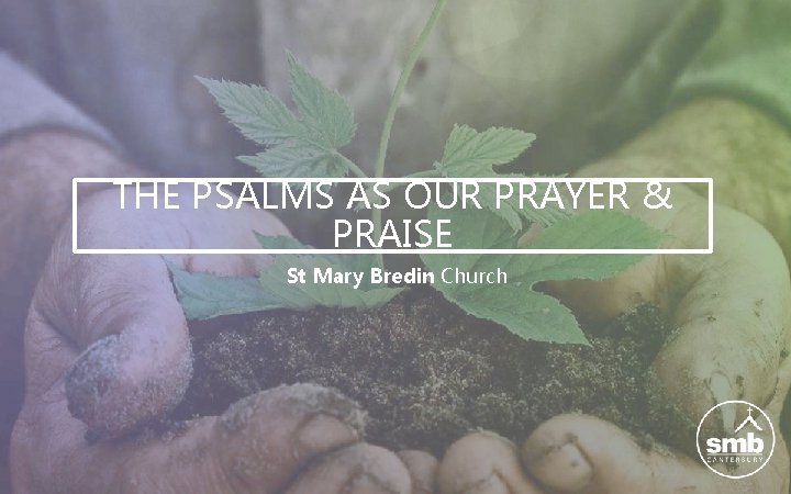 THE PSALMS AS OUR PRAYER & PRAISE St Mary Bredin Church 