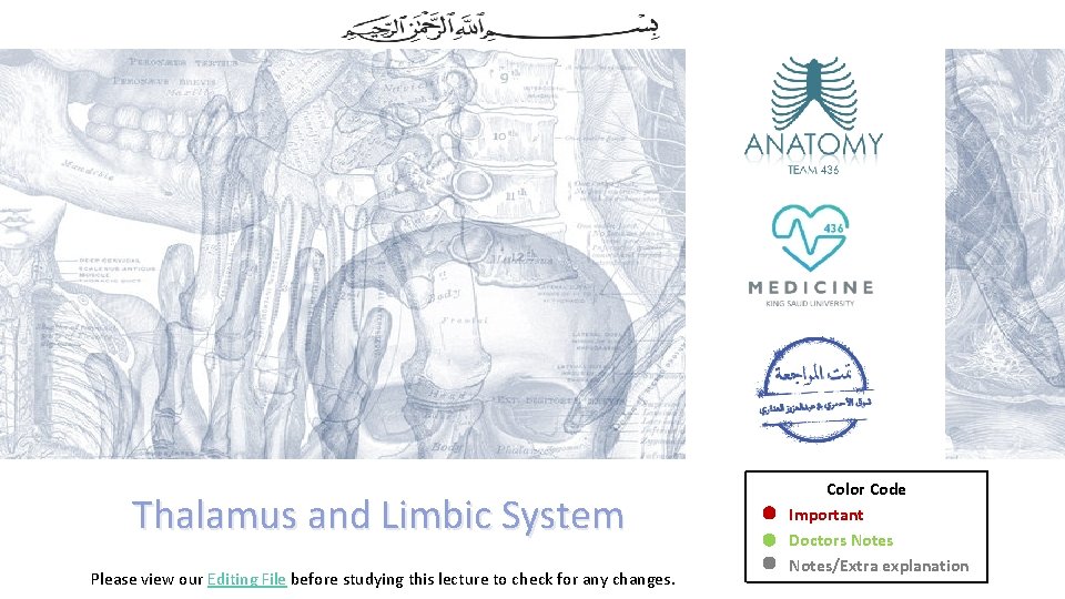 Thalamus and Limbic System Please view our Editing File before studying this lecture to