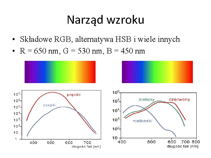 Narząd wzroku • Składowe RGB, alternatywa HSB i wiele innych • R = 650
