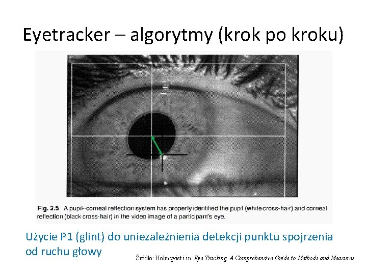 Eyetracker – algorytmy (krok po kroku) Użycie P 1 (glint) do uniezależnienia detekcji punktu