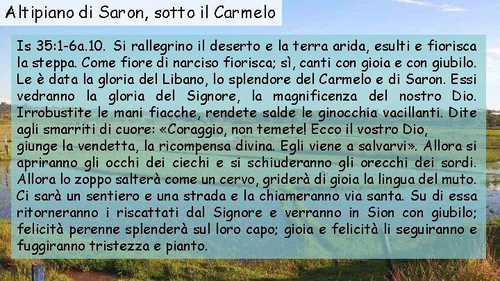 Altipiano di Saron, sotto il Carmelo Is 35: 1 -6 a. 10. Si rallegrino