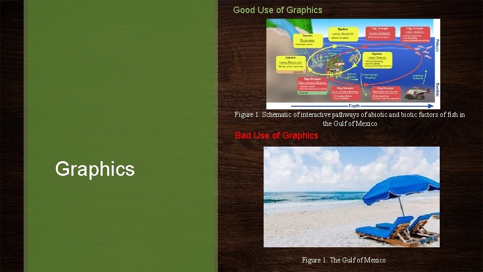 Good Use of Graphics Figure 1. Schematic of interactive pathways of abiotic and biotic