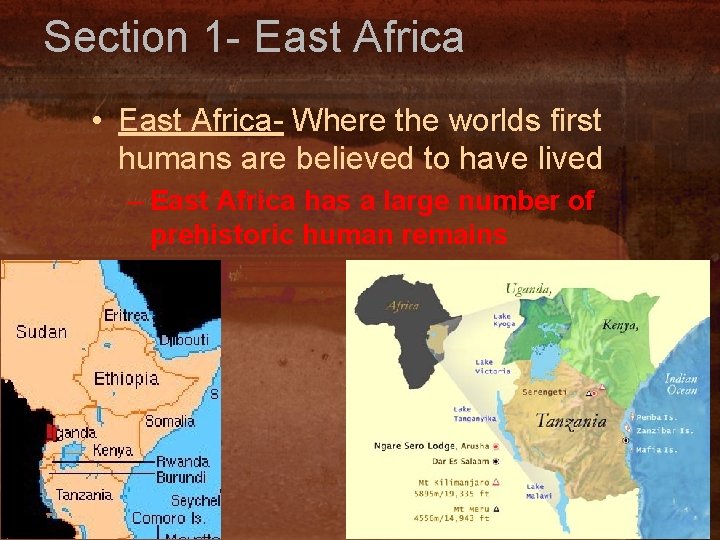 Section 1 - East Africa • East Africa- Where the worlds first humans are