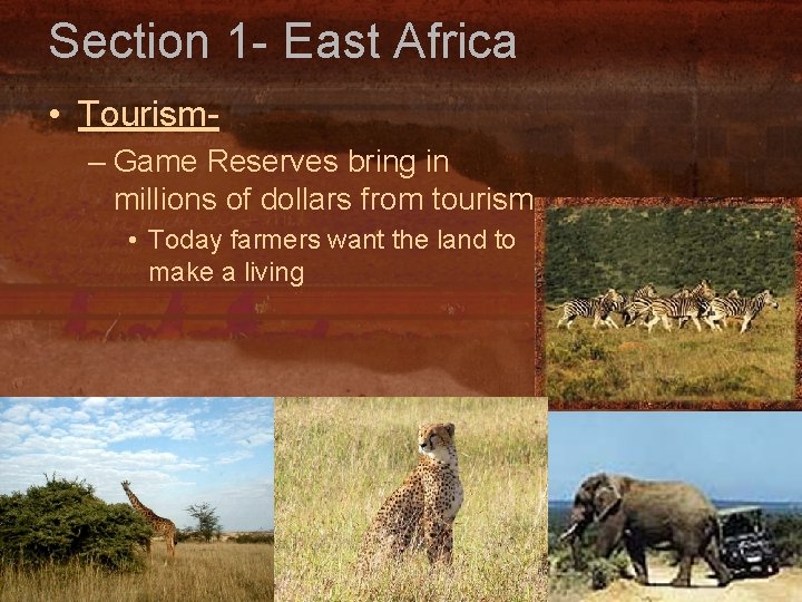 Section 1 - East Africa • Tourism– Game Reserves bring in millions of dollars