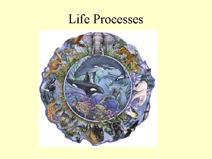 Life Processes 