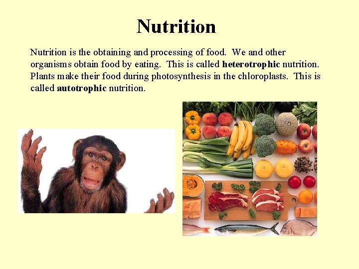 Nutrition is the obtaining and processing of food. We and other organisms obtain food