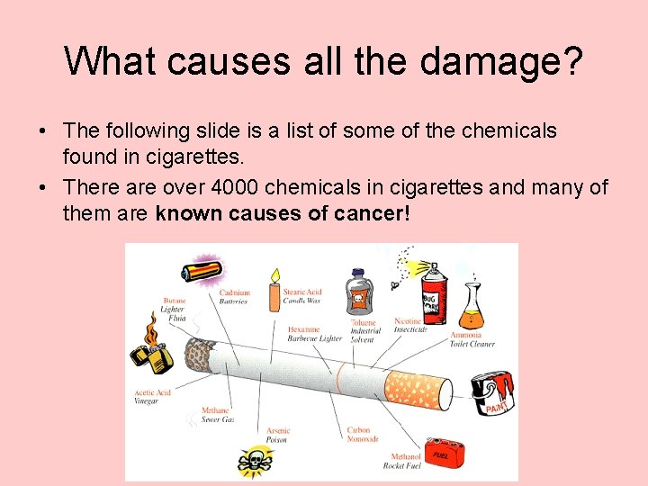 What causes all the damage? • The following slide is a list of some