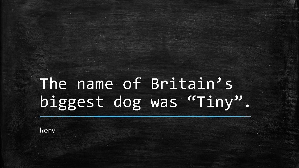 The name of Britain’s biggest dog was “Tiny”. Irony 