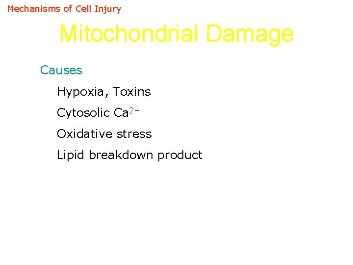 Mechanisms of Cell Injury Mitochondrial Damage Causes Hypoxia, Toxins Cytosolic Ca 2+ Oxidative stress