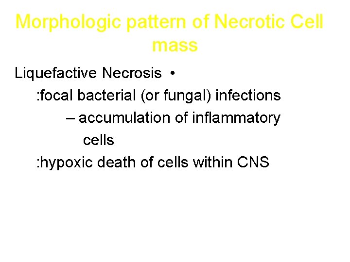 Morphologic pattern of Necrotic Cell mass Liquefactive Necrosis • : focal bacterial (or fungal)