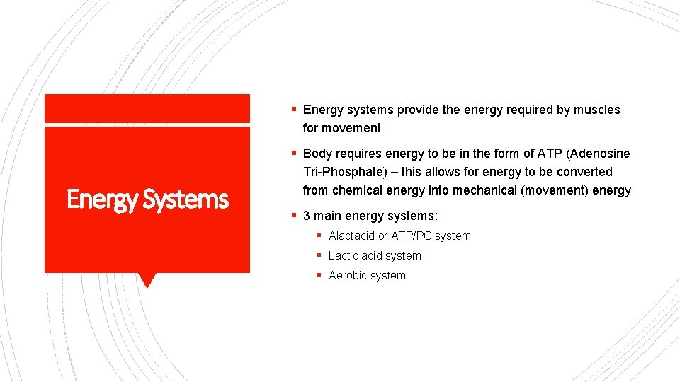 § Energy systems provide the energy required by muscles for movement § Body requires