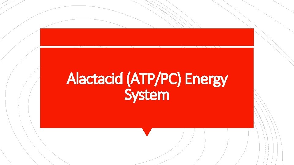 Alactacid (ATP/PC) Energy System 