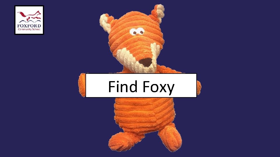 Find Foxy 