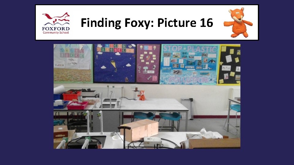 Finding Foxy: Picture 16 
