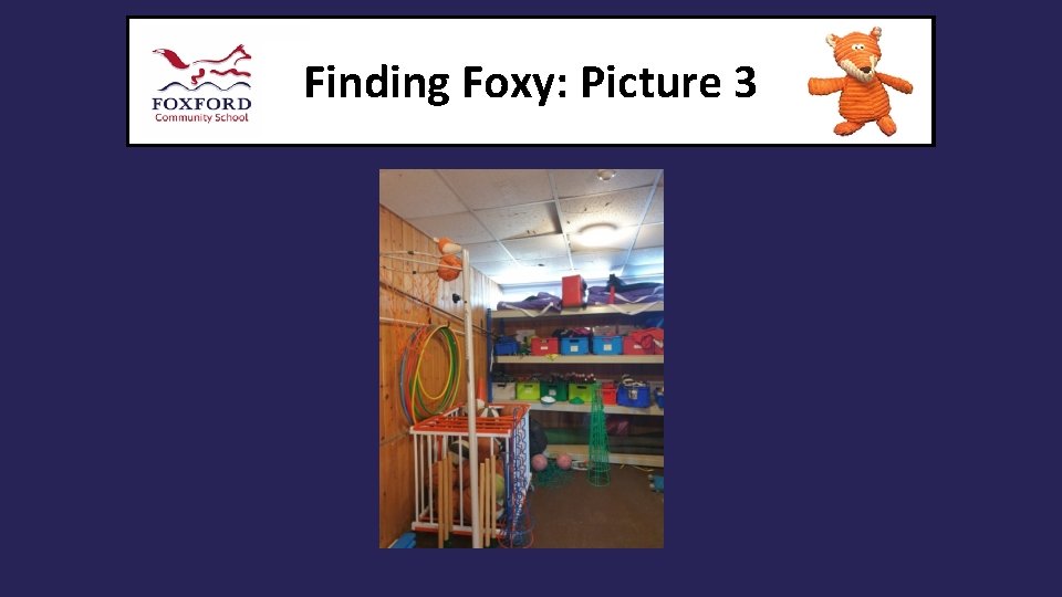 Finding Foxy: Picture 3 