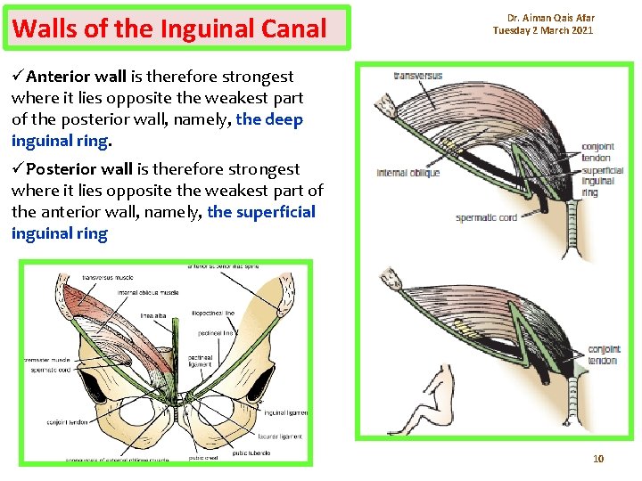 Walls of the Inguinal Canal Dr. Aiman Qais Afar Tuesday 2 March 2021 üAnterior