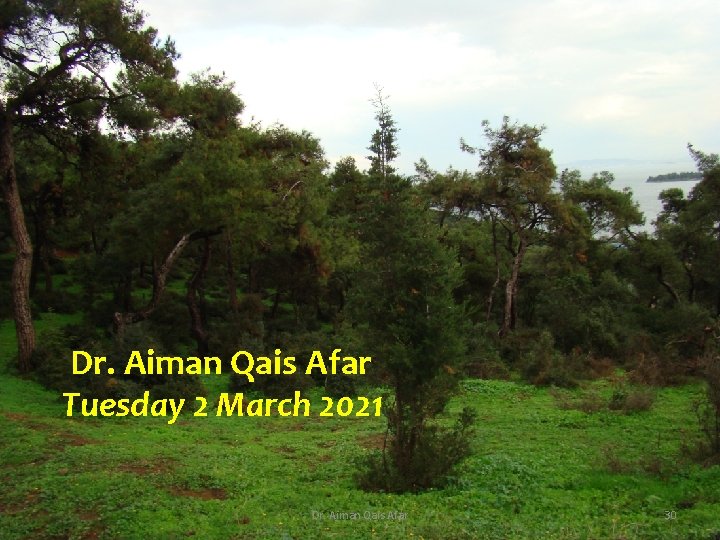 Dr. Aiman Qais Afar Tuesday 2 March 2021 Dr. Aiman Qais Afar 30 