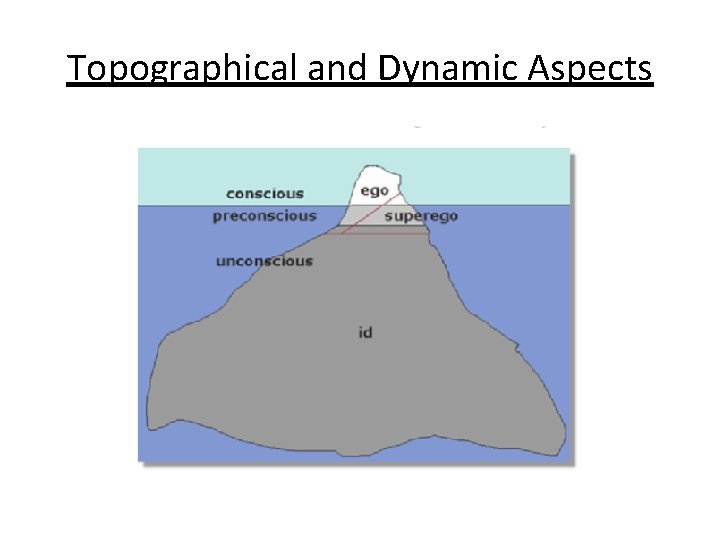 Topographical and Dynamic Aspects 