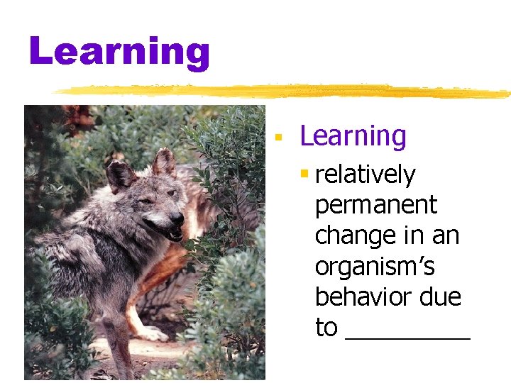 Learning § relatively permanent change in an organism’s behavior due to _____ 