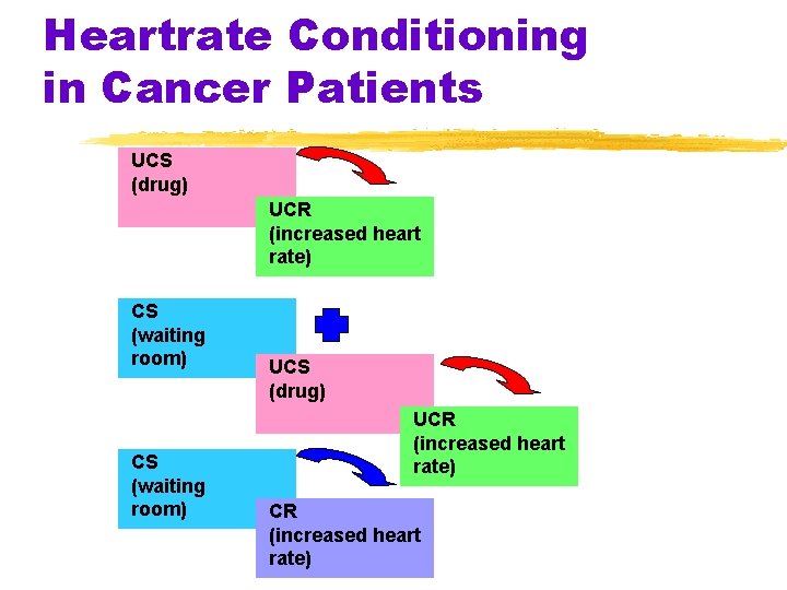 Heartrate Conditioning in Cancer Patients UCS (drug) UCR (increased heart rate) CS (waiting room)